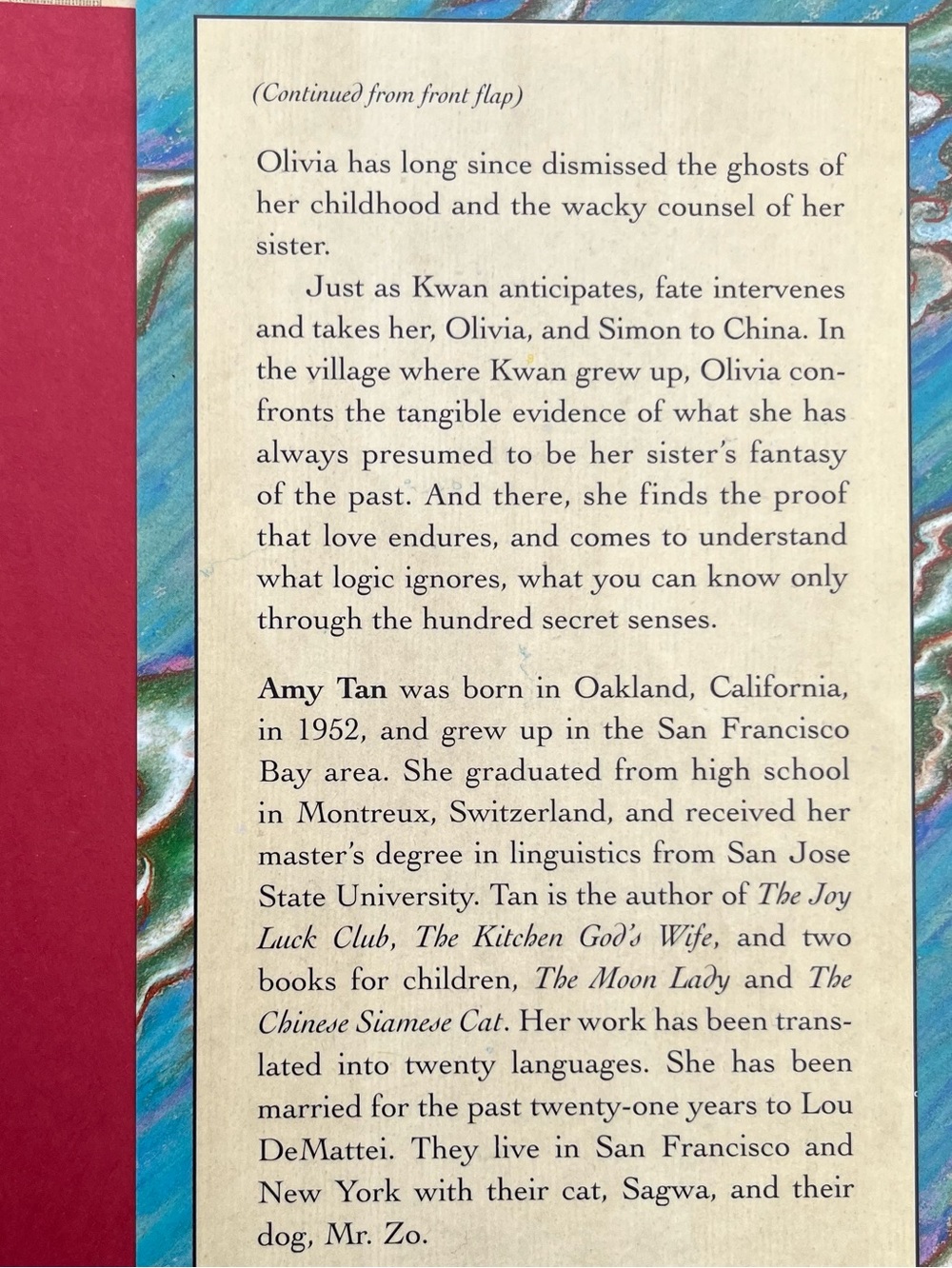 Amy Tan Book Set - Picture 13 of 15